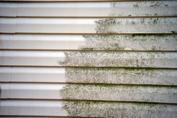 Best Fascia and Soffit Installation  in Grandville, MI