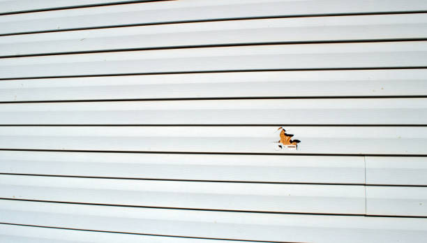 Best Wood Siding Installation  in Grandville, MI
