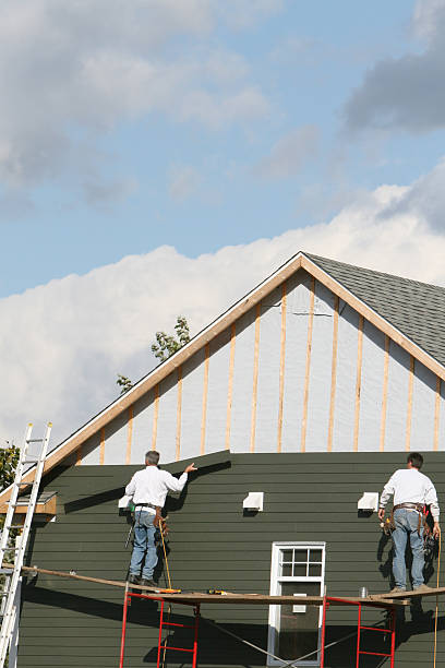 Best Custom Trim and Detailing for Siding  in Grandville, MI