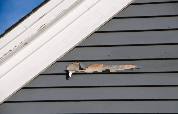Best Custom Siding Design  in Grandville, MI
